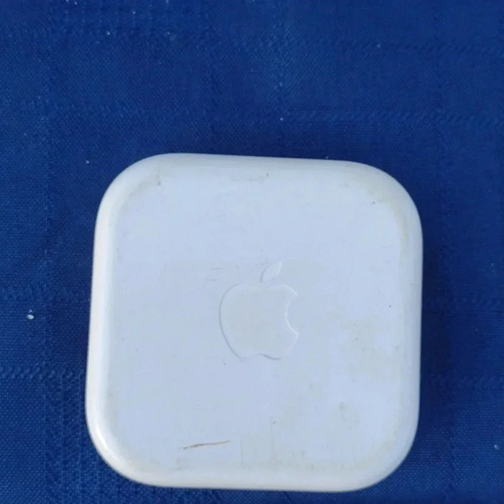 Apple Earbuds in Case